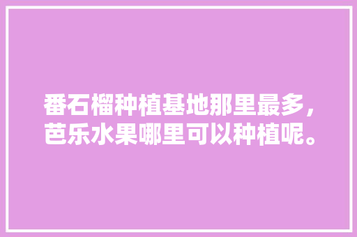 番石榴种植基地那里最多，芭乐水果哪里可以种植呢。 番石榴种植基地那里最多，芭乐水果哪里可以种植呢。 蔬菜种植