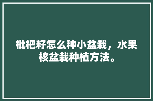 枇杷籽怎么种小盆栽，水果核盆栽种植方法。 枇杷籽怎么种小盆栽，水果核盆栽种植方法。 蔬菜种植