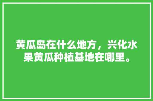 黄瓜岛在什么地方，兴化水果黄瓜种植基地在哪里。 黄瓜岛在什么地方，兴化水果黄瓜种植基地在哪里。 蔬菜种植