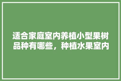 适合家庭室内养植小型果树品种有哪些，种植水果室内温度多少。 适合家庭室内养植小型果树品种有哪些，种植水果室内温度多少。 蔬菜种植