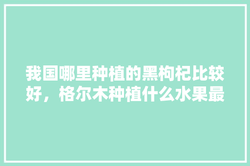 我国哪里种植的黑枸杞比较好，格尔木种植什么水果最好。 我国哪里种植的黑枸杞比较好，格尔木种植什么水果最好。 土壤施肥