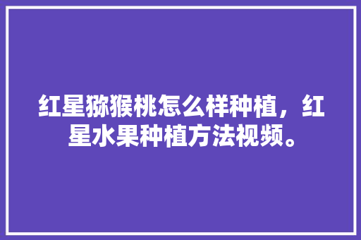 红星猕猴桃怎么样种植，红星水果种植方法视频。 红星猕猴桃怎么样种植，红星水果种植方法视频。 畜牧养殖