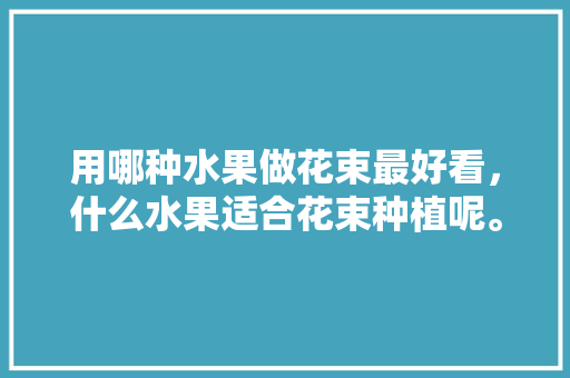 用哪种水果做花束最好看，什么水果适合花束种植呢。 用哪种水果做花束最好看，什么水果适合花束种植呢。 水果种植