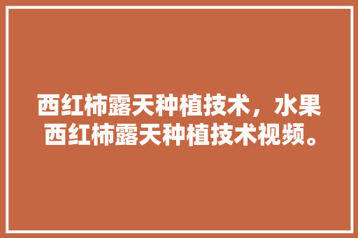 西红柿露天种植技术，水果西红柿露天种植技术视频。 西红柿露天种植技术，水果西红柿露天种植技术视频。 土壤施肥