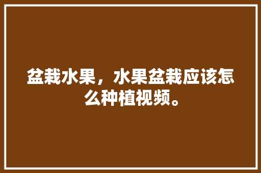 盆栽水果，水果盆栽应该怎么种植视频。 盆栽水果，水果盆栽应该怎么种植视频。 土壤施肥