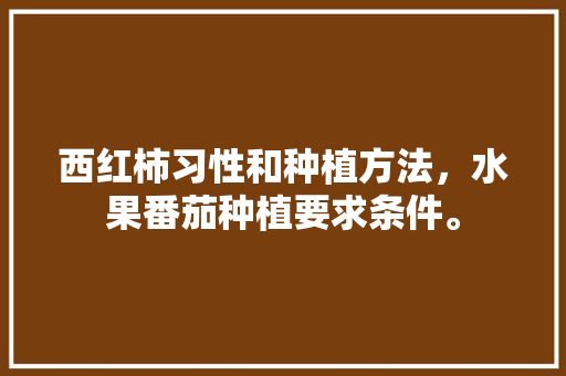 西红柿习性和种植方法，水果番茄种植要求条件。 西红柿习性和种植方法，水果番茄种植要求条件。 畜牧养殖