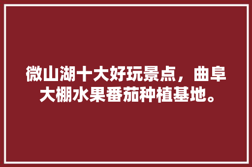 微山湖十大好玩景点，曲阜大棚水果番茄种植基地。 微山湖十大好玩景点，曲阜大棚水果番茄种植基地。 家禽养殖