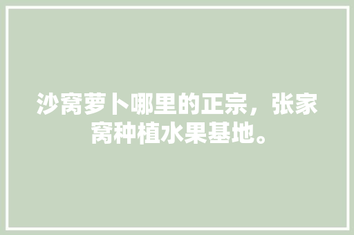 沙窝萝卜哪里的正宗，张家窝种植水果基地。 沙窝萝卜哪里的正宗，张家窝种植水果基地。 水果种植