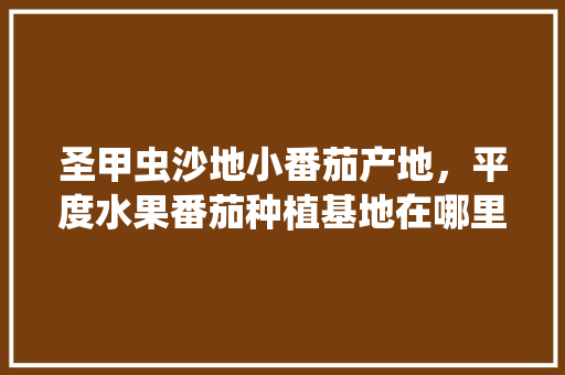 圣甲虫沙地小番茄产地，平度水果番茄种植基地在哪里。 圣甲虫沙地小番茄产地，平度水果番茄种植基地在哪里。 畜牧养殖