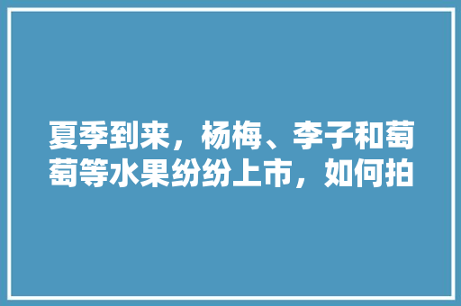 夏季到来，杨梅、李子和萄萄等水果纷纷上市，如何拍好这些水果，水果核种植方法视频教程。 夏季到来，杨梅、李子和萄萄等水果纷纷上市，如何拍好这些水果，水果核种植方法视频教程。 家禽养殖