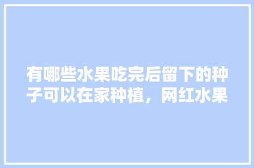 有哪些水果吃完后留下的种子可以在家种植，网红水果种植种子怎么种。 有哪些水果吃完后留下的种子可以在家种植，网红水果种植种子怎么种。 土壤施肥