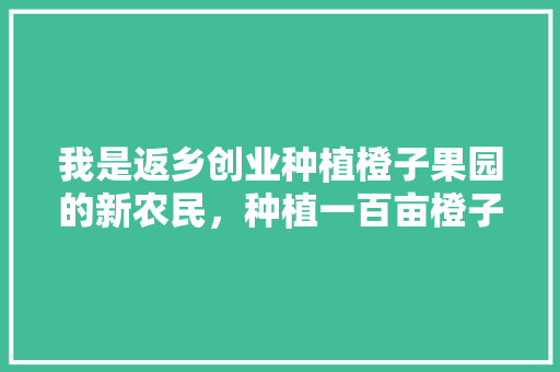 我是返乡创业种植橙子果园的新农民，种植一百亩橙子，现在想请教大家好的办法去销售，种植水果自产销售税率。 我是返乡创业种植橙子果园的新农民，种植一百亩橙子，现在想请教大家好的办法去销售，种植水果自产销售税率。 畜牧养殖