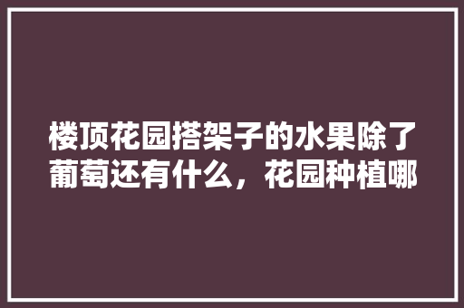 楼顶花园搭架子的水果除了葡萄还有什么，花园种植哪些水果合适呢。 楼顶花园搭架子的水果除了葡萄还有什么，花园种植哪些水果合适呢。 土壤施肥