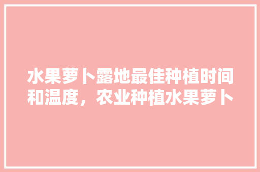 水果萝卜露地最佳种植时间和温度，农业种植水果萝卜的利润。 水果萝卜露地最佳种植时间和温度，农业种植水果萝卜的利润。 蔬菜种植