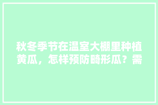 秋冬季节在温室大棚里种植黄瓜，怎样预防畸形瓜？需要做好哪些防范措施，水果黄瓜冬季种植方法。 秋冬季节在温室大棚里种植黄瓜，怎样预防畸形瓜？需要做好哪些防范措施，水果黄瓜冬季种植方法。 土壤施肥