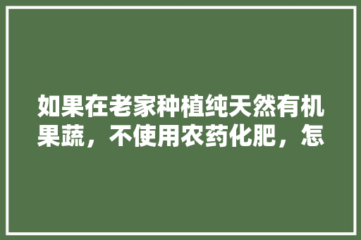 如果在老家种植纯天然有机果蔬，不使用农药化肥，怎么才能得到发展，什么水果不用施肥。 如果在老家种植纯天然有机果蔬，不使用农药化肥，怎么才能得到发展，什么水果不用施肥。 畜牧养殖