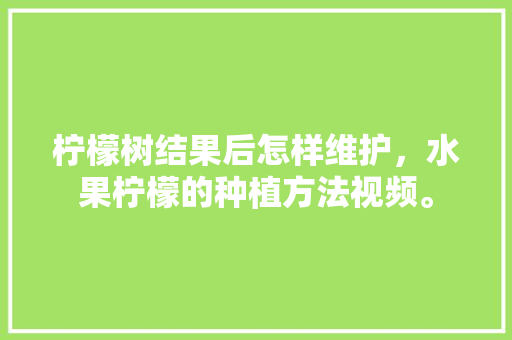 柠檬树结果后怎样维护，水果柠檬的种植方法视频。 柠檬树结果后怎样维护，水果柠檬的种植方法视频。 家禽养殖