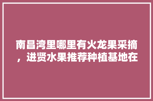 南昌湾里哪里有火龙果采摘，进贤水果推荐种植基地在哪里。 南昌湾里哪里有火龙果采摘，进贤水果推荐种植基地在哪里。 家禽养殖