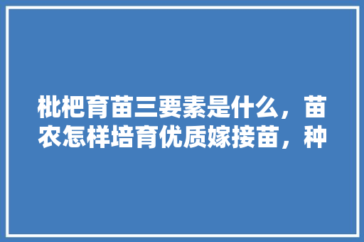 枇杷育苗三要素是什么，苗农怎样培育优质嫁接苗，种植枇杷水果怎么种植。 枇杷育苗三要素是什么，苗农怎样培育优质嫁接苗，种植枇杷水果怎么种植。 家禽养殖