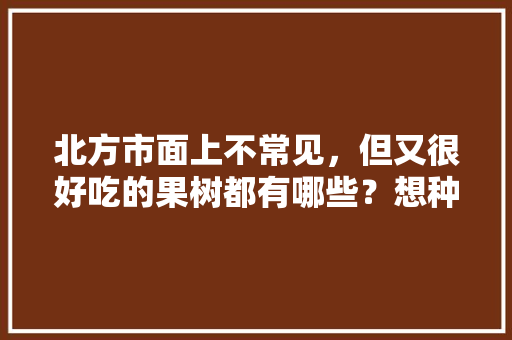 北方市面上不常见，但又很好吃的果树都有哪些？想种些只要口感最好吃的水果，走小众化，北方好种植的水果有哪些。 北方市面上不常见，但又很好吃的果树都有哪些？想种些只要口感最好吃的水果，走小众化，北方好种植的水果有哪些。 土壤施肥