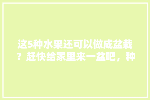 这5种水果还可以做成盆栽？赶快给家里来一盆吧，种植小技巧水果盆栽视频。 这5种水果还可以做成盆栽？赶快给家里来一盆吧，种植小技巧水果盆栽视频。 土壤施肥