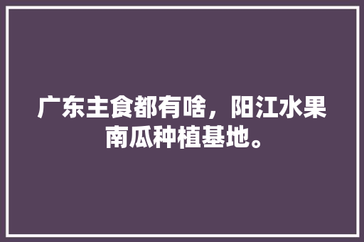 广东主食都有啥，阳江水果南瓜种植基地。 广东主食都有啥，阳江水果南瓜种植基地。 畜牧养殖