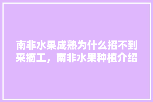 南非水果成熟为什么招不到采摘工，南非水果种植介绍PPT。 南非水果成熟为什么招不到采摘工，南非水果种植介绍PPT。 水果种植