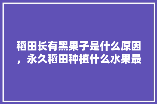 稻田长有黑果子是什么原因，永久稻田种植什么水果最好。 稻田长有黑果子是什么原因，永久稻田种植什么水果最好。 水果种植