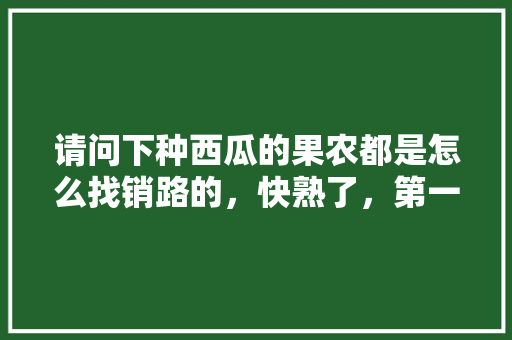 请问下种西瓜的果农都是怎么找销路的，快熟了，第一次种西瓜不懂，中国种植水果大户有哪些。 请问下种西瓜的果农都是怎么找销路的，快熟了，第一次种西瓜不懂，中国种植水果大户有哪些。 畜牧养殖