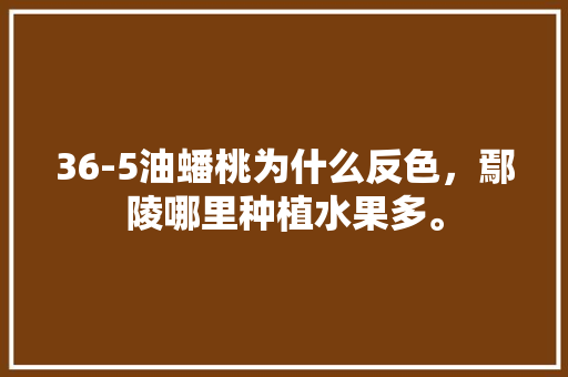 36-5油蟠桃为什么反色，鄢陵哪里种植水果多。 36-5油蟠桃为什么反色，鄢陵哪里种植水果多。 蔬菜种植