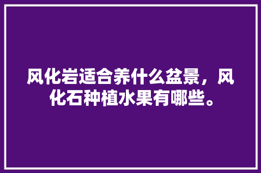 风化岩适合养什么盆景，风化石种植水果有哪些。 风化岩适合养什么盆景，风化石种植水果有哪些。 畜牧养殖