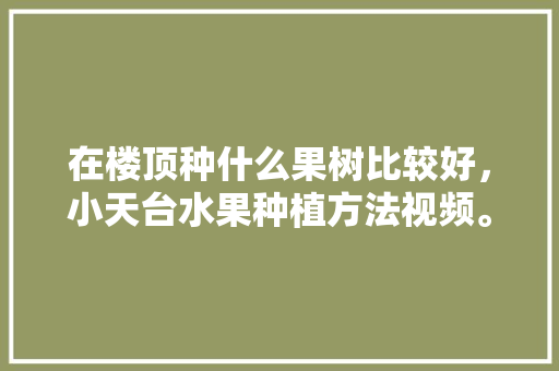 在楼顶种什么果树比较好，小天台水果种植方法视频。 在楼顶种什么果树比较好，小天台水果种植方法视频。 水果种植