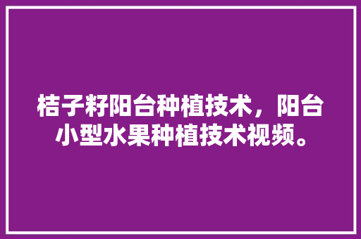 桔子籽阳台种植技术，阳台小型水果种植技术视频。 桔子籽阳台种植技术，阳台小型水果种植技术视频。 畜牧养殖