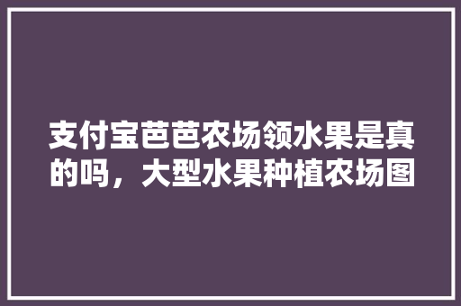 支付宝芭芭农场领水果是真的吗，大型水果种植农场图片。 支付宝芭芭农场领水果是真的吗，大型水果种植农场图片。 水果种植