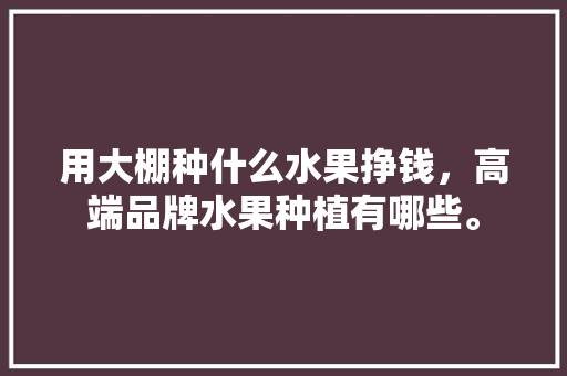 用大棚种什么水果挣钱，高端品牌水果种植有哪些。 用大棚种什么水果挣钱，高端品牌水果种植有哪些。 土壤施肥