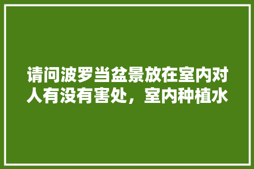 请问波罗当盆景放在室内对人有没有害处，室内种植水果盆景好吗视频。 请问波罗当盆景放在室内对人有没有害处，室内种植水果盆景好吗视频。 水果种植