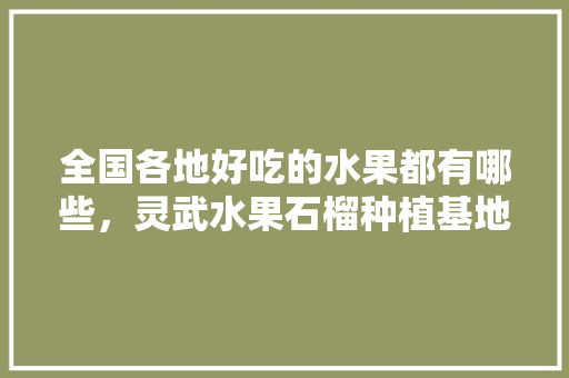 全国各地好吃的水果都有哪些，灵武水果石榴种植基地在哪里。 全国各地好吃的水果都有哪些，灵武水果石榴种植基地在哪里。 土壤施肥