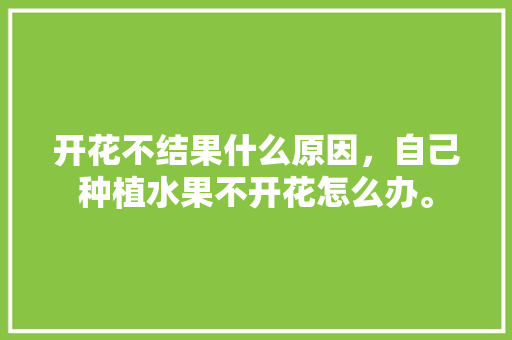 开花不结果什么原因，自己种植水果不开花怎么办。 开花不结果什么原因，自己种植水果不开花怎么办。 土壤施肥