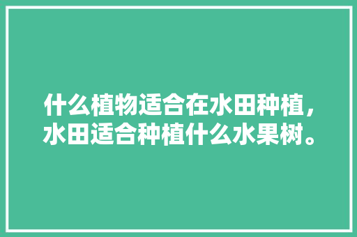 什么植物适合在水田种植，水田适合种植什么水果树。 什么植物适合在水田种植，水田适合种植什么水果树。 水果种植