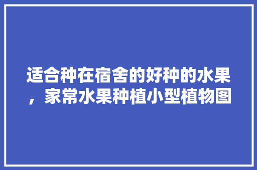 适合种在宿舍的好种的水果，家常水果种植小型植物图片。 适合种在宿舍的好种的水果，家常水果种植小型植物图片。 蔬菜种植