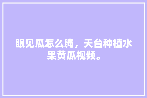 眼见瓜怎么腌，天台种植水果黄瓜视频。 眼见瓜怎么腌，天台种植水果黄瓜视频。 水果种植