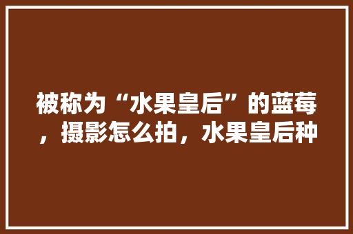 被称为“水果皇后”的蓝莓，摄影怎么拍，水果皇后种植视频教程。 被称为“水果皇后”的蓝莓，摄影怎么拍，水果皇后种植视频教程。 蔬菜种植