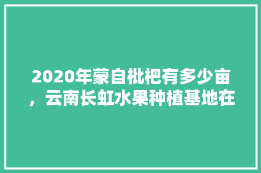 2020年蒙自枇杷有多少亩，云南长虹水果种植基地在哪里。 2020年蒙自枇杷有多少亩，云南长虹水果种植基地在哪里。 土壤施肥