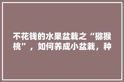 不花钱的水果盆栽之“猕猴桃”，如何养成小盆栽，种植水果盆栽的方法有哪些。 不花钱的水果盆栽之“猕猴桃”，如何养成小盆栽，种植水果盆栽的方法有哪些。 水果种植