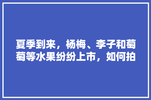 夏季到来，杨梅、李子和萄萄等水果纷纷上市，如何拍好这些水果，药用水果种植视频教程。 夏季到来，杨梅、李子和萄萄等水果纷纷上市，如何拍好这些水果，药用水果种植视频教程。 蔬菜种植