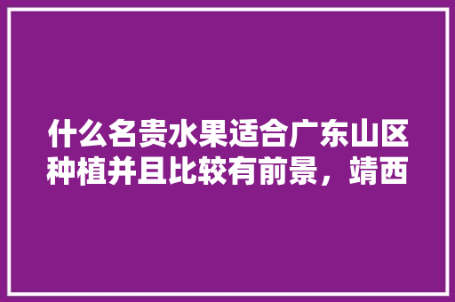 什么名贵水果适合广东山区种植并且比较有前景，靖西有什么水果种植基地。 什么名贵水果适合广东山区种植并且比较有前景，靖西有什么水果种植基地。 蔬菜种植