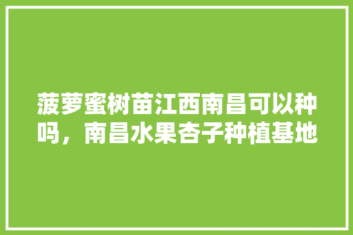 菠萝蜜树苗江西南昌可以种吗，南昌水果杏子种植基地在哪里。 菠萝蜜树苗江西南昌可以种吗，南昌水果杏子种植基地在哪里。 蔬菜种植