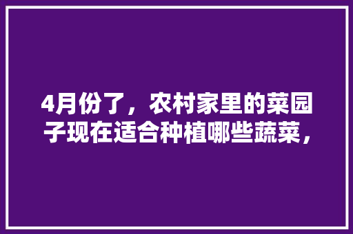 4月份了，农村家里的菜园子现在适合种植哪些蔬菜，水果蔬菜种植项目简介。 4月份了，农村家里的菜园子现在适合种植哪些蔬菜，水果蔬菜种植项目简介。 蔬菜种植