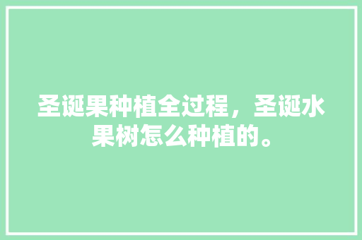 圣诞果种植全过程，圣诞水果树怎么种植的。 圣诞果种植全过程，圣诞水果树怎么种植的。 家禽养殖