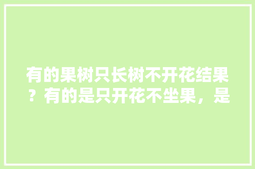 有的果树只长树不开花结果？有的是只开花不坐果，是什么原因，种植水果可以结果吗视频。 有的果树只长树不开花结果？有的是只开花不坐果，是什么原因，种植水果可以结果吗视频。 家禽养殖